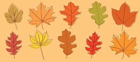 A set of autumn leaves drawn in a continuous line. Autumn leaf in one line. Vector illustration