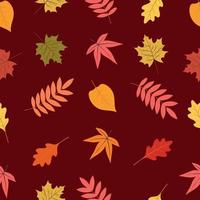 Seamless pattern of autumn leaves.Vector illustration. vector