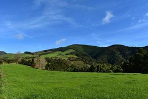 Lush Green Grass Fields of Sao Miguel in the Azores photo