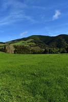 campo de hierba verde con colinas y pastos foto