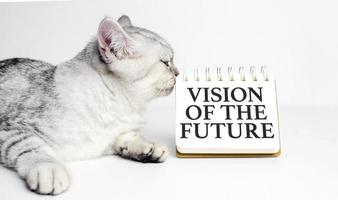 visión de las palabras futuras en cuaderno blanco y gato gris foto