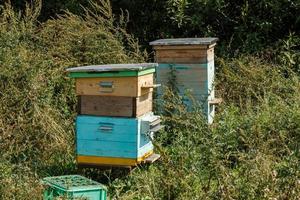 dos colmenas de abejas se paran en la hierba del prado. colmenas de abejas en verano. foto