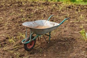 Empty wheelbarrow standing in the garden. Harvesting potatoes. photo