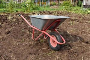 Garden wheelbarrow standing in the field. Harvesting potatoes in autumn. photo