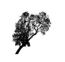 silueta de árbol aislado para pincel sobre fondo blanco foto