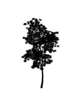 Tree silhouette for brush on white background photo