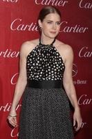 PALM SPRINGS - JAN 4 - Amy Adams at the Palm Springs Film Festival Gala at Palm Springs Convention Center on January 4, 2014 in Palm Springs, CA photo