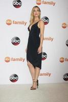 LOS ANGELES - AUG 4 - Rebecca Rittenhouse at the ABC TCA Summer Press Tour 2015 Party at the Beverly Hilton Hotel on August 4, 2015 in Beverly Hills, CA photo