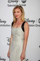 LOS ANGELES - MAY 20 - Emily VanCamp arrives at the ABC  Disney International Upfronts at Walt Disney Studios Lot on May 20, 2012 in Burbank, CA photo