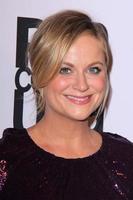 LOS ANGELES - NOV 11 - Amy Poehler at the PEN Center USA 24th Annual Literary Awards at the Beverly Wilshire Hotel on November 11, 2014 in Beverly Hills, CA photo