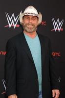 LOS ANGELES - JUN 6 - Shawn Michaels at the WWE For Your Consideration Event at the TV Academy Saban Media Center on June 6, 2018 in North Hollywood, CA photo