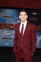 LOS ANGELES - JUN 26 - Louis Giordano at the Spider-Man Far From Home Premiere at the TCL Chinese Theater IMAX on June 26, 2019 in Los Angeles, CA photo