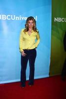 LOS ANGELES - JAN 6 - Alison Sweeney attends the NBCUniversal 2013 TCA Winter Press Tour at Langham Huntington Hotel on January 6, 2013 in Pasadena, CA photo