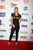 los angeles - sep 5 - alison sweeney en el stand up 2 cancer telecast llegadas en dolby theater el 5 de septiembre de 2014 en los angeles, ca foto