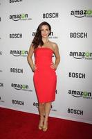 LOS ANGELES - FEB 3 - Annie Wersching at the Bosch Amazon Red Carpet Premiere Screening at a ArcLight Hollywood Theaters on February 3, 2015 in Los Angeles, CA photo