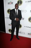 LOS ANGELES - FEB 15 - Adewale Akinnuoye-Agbaje at the Annual Make-Up Artists And Hair Stylists Guild Awards at Paramount Theater on February 15, 2014 in Los Angeles, CA photo