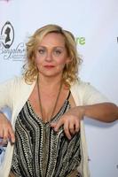 LOS ANGELES - AUG 1 - Nicole Sullivan at the A CATbaret - A Celebrity Musical Celebration of the Alluring Feline at the Avalon on August 1, 2015 in Los Angeles, CA photo