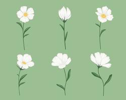 Flower Set Illustrations. vector