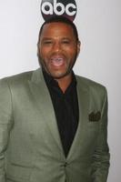 LOS ANGELES - AUG 4 - Anthony Anderson at the ABC TCA Summer Press Tour 2015 Party at the Beverly Hilton Hotel on August 4, 2015 in Beverly Hills, CA photo
