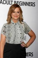 LOS ANGELES - FEB 15 - Amy Poehler at the Adult Beginners Los Angeles Premiere at the ArcLight Hollywood Theaters on April 15, 2015 in Los Angeles, CA photo