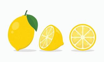 Fresh lemon whole and slice vector illustration