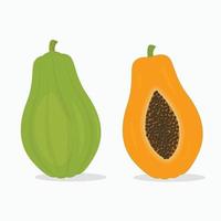 ilustración de vector de fruta de papaya entera y mitad en estilo de dibujos animados