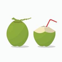 Coco verde entero y rebanada con ilustración de vector de paja