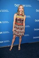 LOS ANGELES - SEP 28 - Amanda Seyfried at the Concert for Our Oceans benefitting Oceana at the Wallis Annenberg Center for the Performing Arts on September 28, 2015 in Beverly Hills, CA photo