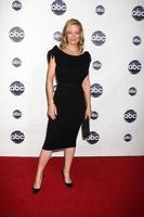 LOS ANGELES - JAN 10 - Jeri Ryan arrives at the Disney ABC Television Group s TCA Winter 2011 Press Tour Party at Langham Huntington Hotel on January 10, 2011 in Pasadena, CA photo