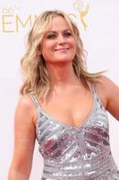 LOS ANGELES - AUG 25 - Am Poehler at the 2014 Primetime Emmy Awards - Arrivals at Nokia Theater at LA Live on August 25, 2014 in Los Angeles, CA photo