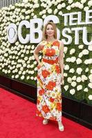 LOS ANGELES - AUG 1 - Sharon Lawrence at the CBS TV Studios Summer Soiree TCA Party 2017 at the CBS Studio Center on August 1, 2017 in Studio City, CA photo