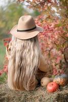 Girl in the hay with pumpkins photo