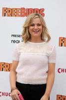 LOS ANGELES - OCT 13 - Amy Poehler at the Free Birds Premiere at Village Theater on October 13, 2013 in West Hollywood, CA photo