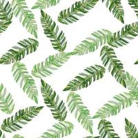 patrón sin costuras de follaje de plantas exóticas gráficas. patrón tropical, hojas de palma fondo floral transparente. papel pintado de hojas. vector