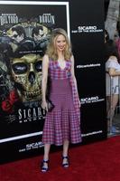 LOS ANGELES - JUN 26 - Paten Hughes at the Sicario - Day Of The Soldado Premiere at the Village Theater on June 26, 2018 in Westwood, CA photo