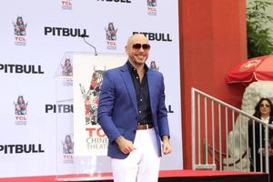 LOS ANGELES - DEC 14 - Pitbull at the Pitbull Hand and Footprint Ceremony at the TCL Chinese Theater IMAX on December 14, 2018 in Los Angeles, CA photo