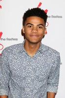 LOS ANGELES - MAR 26 - Noah Alexander Gerry at the The Young and The Restless Celebrate 45th Anniversary at CBS Television City on March 26, 2018 in Los Angeles, CA photo