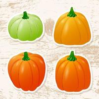 Cute stickers with orange pumpkins. Sticker with vegetables on a grunge background. Vector illustration.