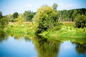 bosque verde y río foto