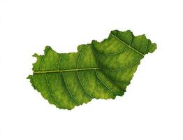 Hungary map made of green leaves on soil background ecology concept photo