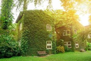 Perspective and outdoor view of house covered by vines and green plants on bright blue sky with sun and lens flare background. photo