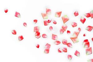 pétalos de rosa rosa brillante. fondo floral. foto