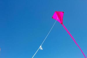 Pink kite flying with blue sky in Germany. photo