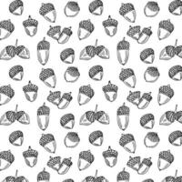 Acorns pattern background. Collection of acorn icons. Vector