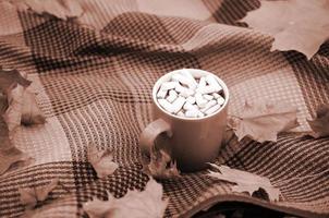 Autumn leaves and hot steaming cup of coffee lies on checkered plaid outdoors photo