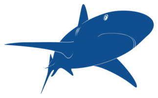 Shark Silhouette for Logo, Pictogram, Website, Art Illustration, Infographic, or Graphic Design Element. Format PNG