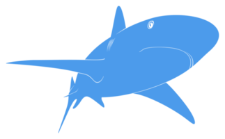 silhouette de requin pour logo, pictogramme, site Web, illustration d'art, infographie ou élément de conception graphique. formatpng png