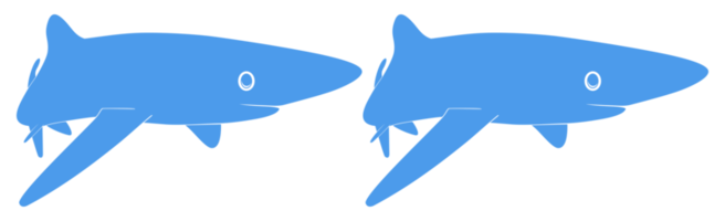 silhouette de requin pour logo, pictogramme, site Web, illustration d'art, infographie ou élément de conception graphique. formatpng png