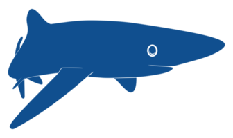 Shark Silhouette for Logo, Pictogram, Website, Art Illustration, Infographic, or Graphic Design Element. Format PNG