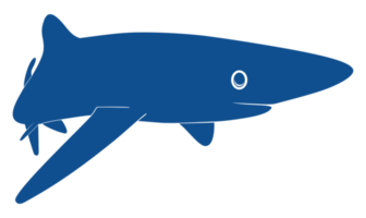 silhouette de requin pour logo, pictogramme, site Web, illustration d'art, infographie ou élément de conception graphique. formatpng png